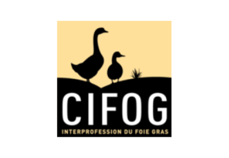 CIFOG